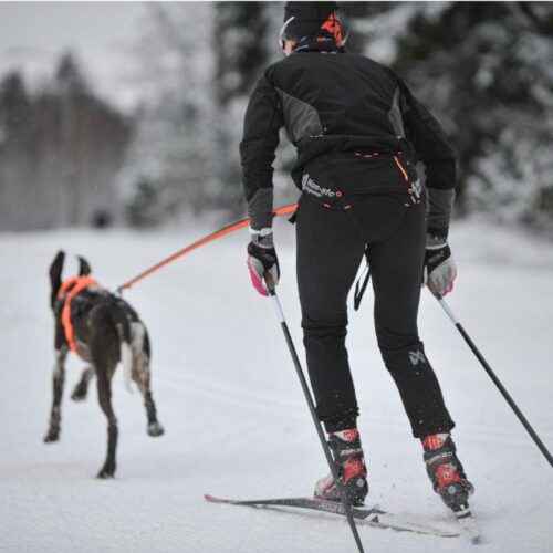 NS12501_LOYPE_BELT_Pro_Vetovyo_4_jpg