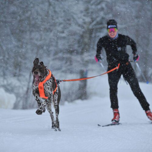 NS12501_LOYPE_BELT_Pro_Vetovyo_5_jpg