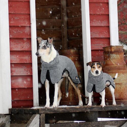 P1551_Kivalo_koiran_Lampopaita_Luppo_3_jpg