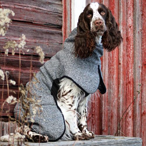 P1551_Kivalo_koiran_Lampopaita_Luppo_4_jpg