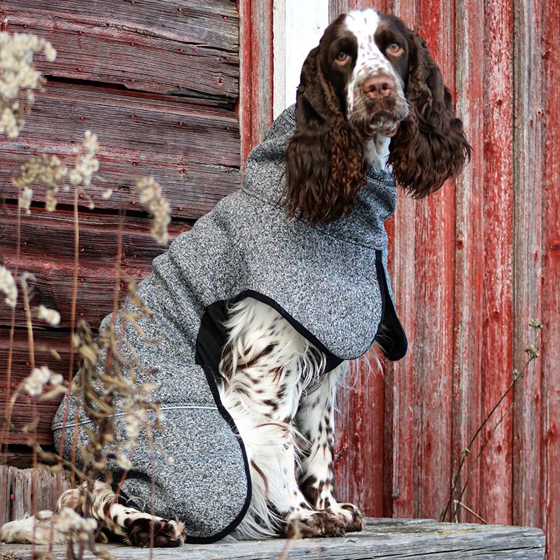 P1551_Kivalo_koiran_Lampopaita_Luppo_4_jpg