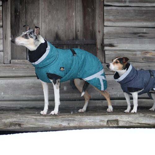 P1553_Kivalo_Koiran_toppatakki_Luosto_3_jpg