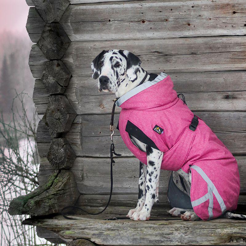 P1553_Kivalo_Koiran_toppatakki_Luosto_9_jpg