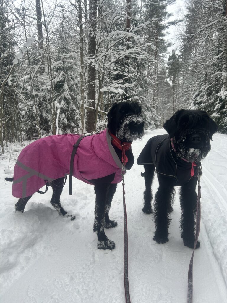 Image #1 from Kaisa S.