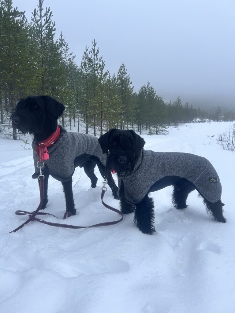 Image #1 from Kaisa S.