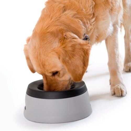 HT44442_Hunter_Koiran_loiskumaton_matkakuppi_1_4_l_3_jpg