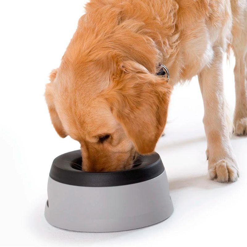 HT44442_Hunter_Koiran_loiskumaton_matkakuppi_1_4_l_3_jpg