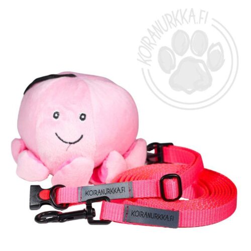 KN_25_40_225_PS_Koiranurkka_Pentusetti_M_2_jpg