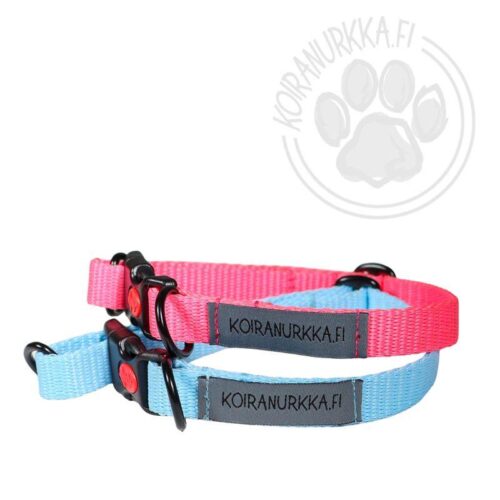 Koiranurkka_Pentupanta_25-40_cm