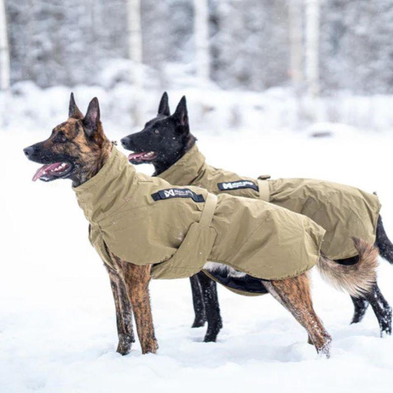 NS895400_NON_STOP_Glacier_koirantakki_wd_7_jpg