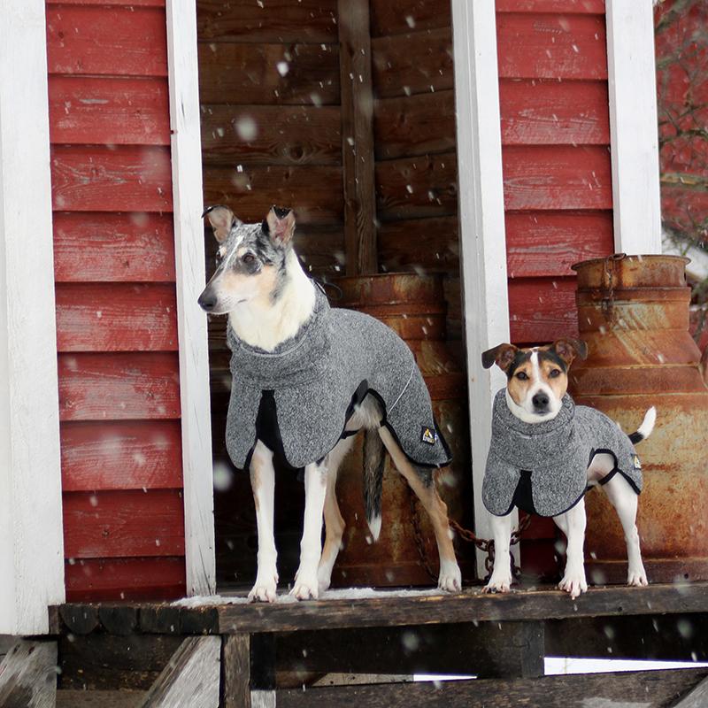 P1551_Kivalo_koiran_Lampopaita_Luppo_3_jpg