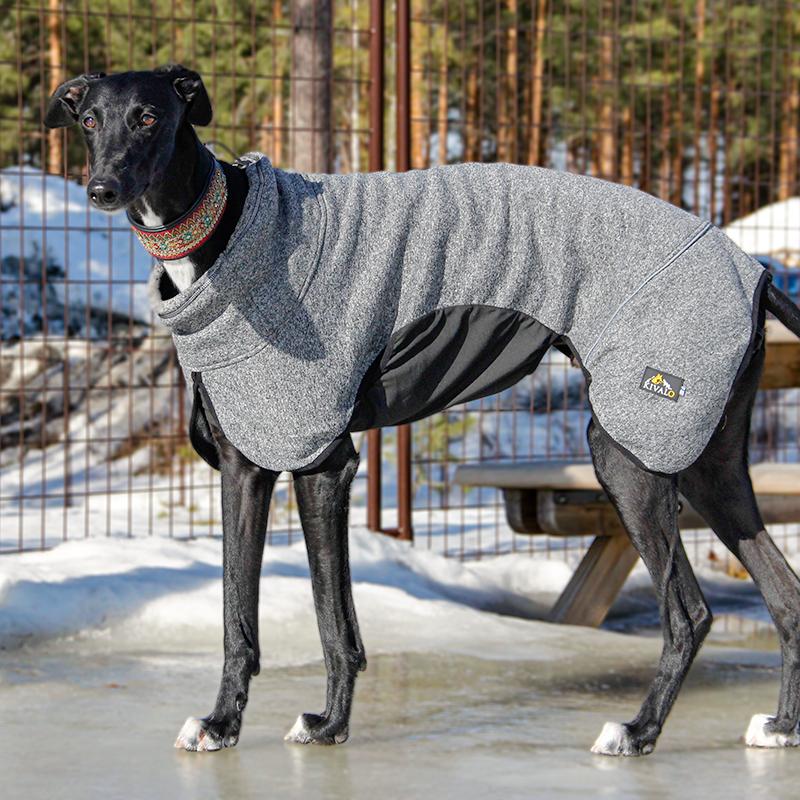 P1551_Kivalo_koiran_Lampopaita_Luppo_5_jpg