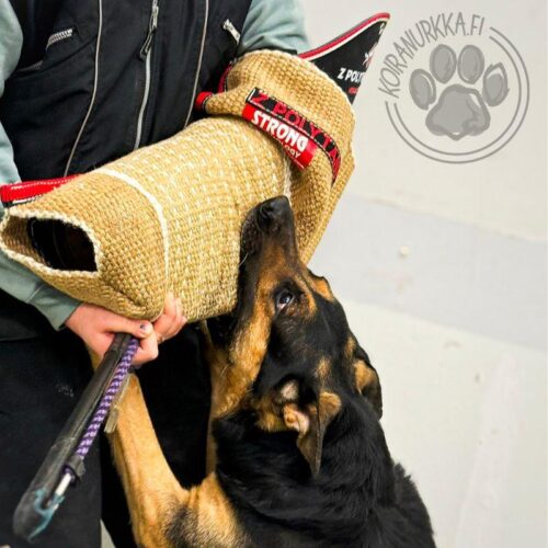 Polytanu_Race_kilpahiha