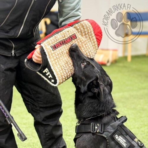 Polytanu_Fit__juutti