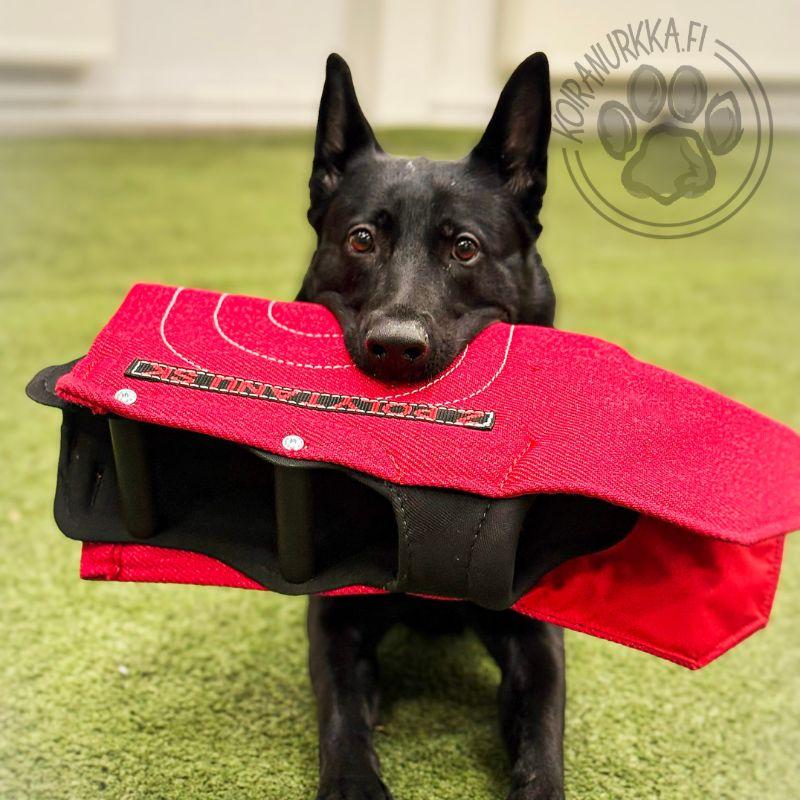 Polytanu_Fit__nylcot_hopperi