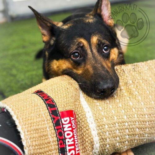 Polytanu_hihanpaallinen_STRONG