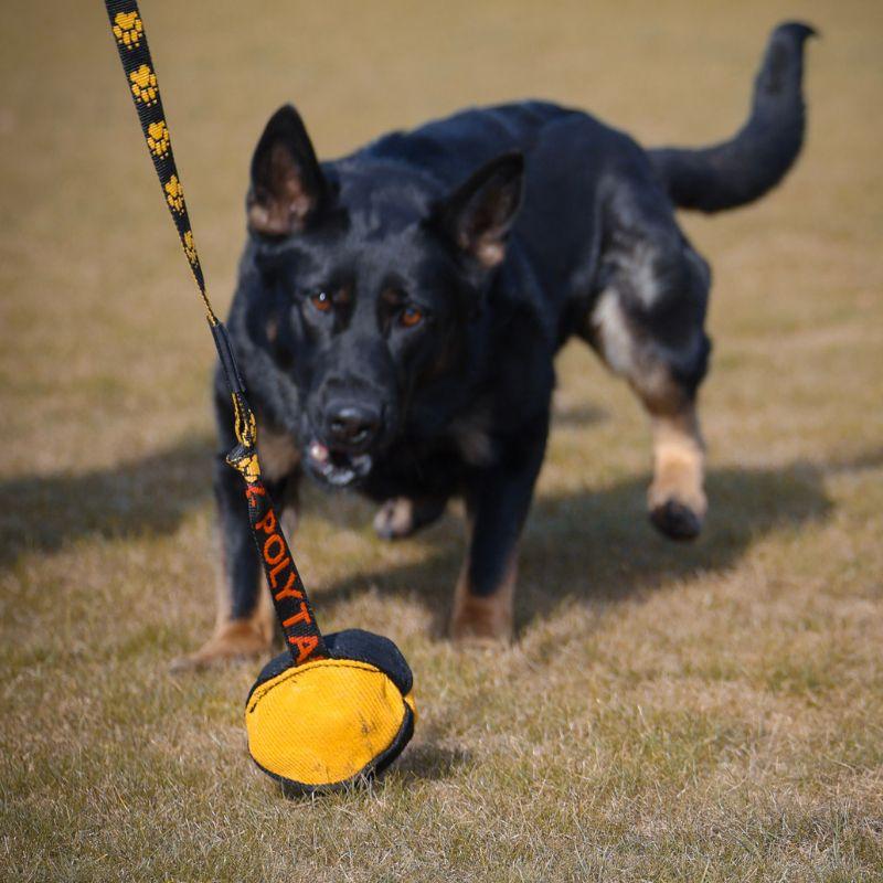 21300001_NYLCOT_PALLO_JOKER_6_jpg