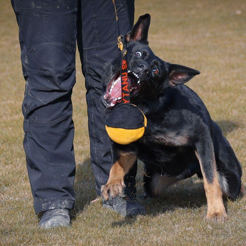 21300001_NYLCOT_PALLO_JOKER_7_jpg