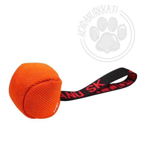 NYLCOT_PALLO_KASILENKILLA