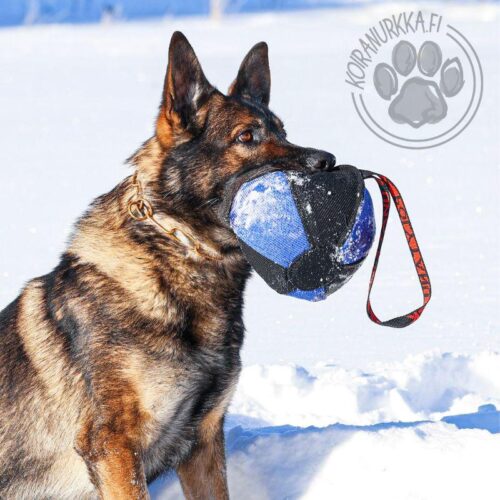 Polytanu_pallotyyny_Joker