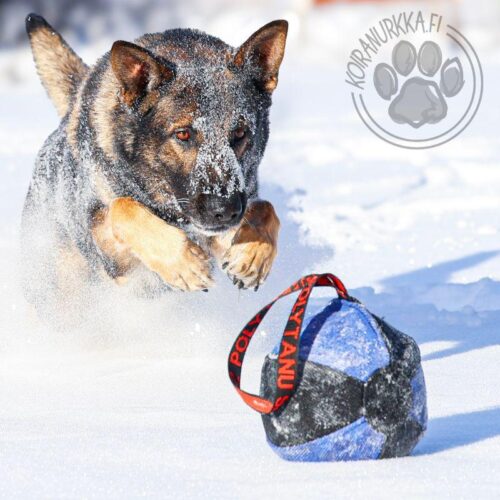 21_300_002_Pallotyyny_JOKER_2_jpg