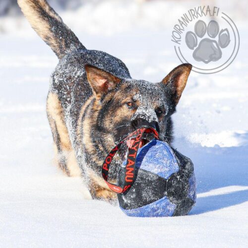 21_300_002_Pallotyyny_JOKER_3_jpg