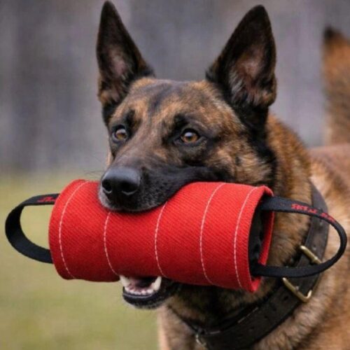 21_600_015_Nylcot_pururulla_19_cm_1_jpg