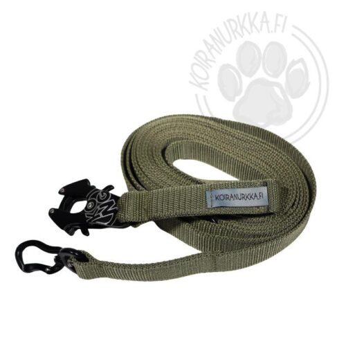 Tolppaliina_5_m__KongFrog_lukko