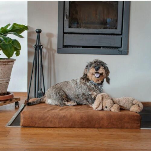 Ortopedinen_koiranpeti