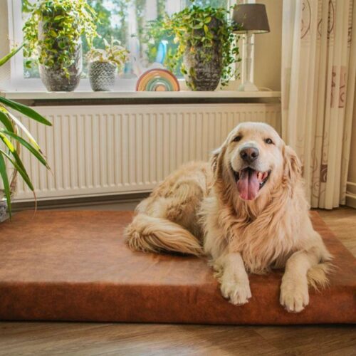 LETS050_Ortopedinen_koiranpeti_antrasiitti_2_jpg