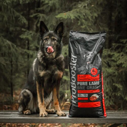PROBOOSTER ADULT SENSITIVE LAMB, 12 kg