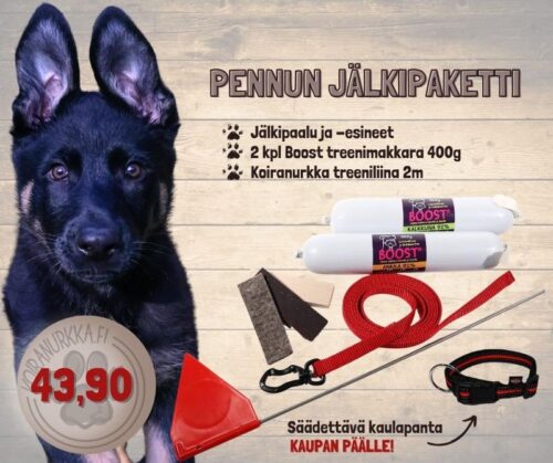 Pennun_jalkipaketti