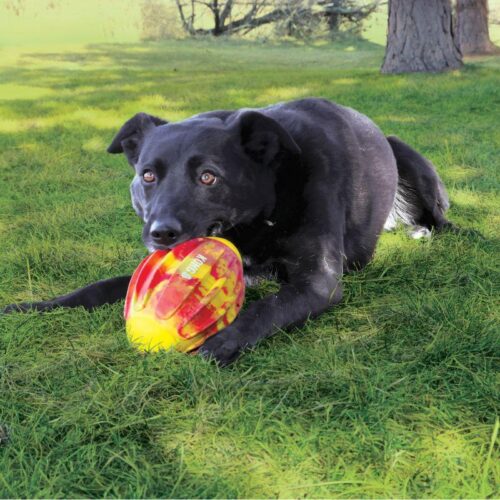 634_7520_KONG_Flexball_Sport_football_M_1_jpg