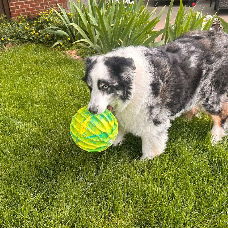 634_7522_KONG_Flexball_Sport_ball_XL_3_jpg