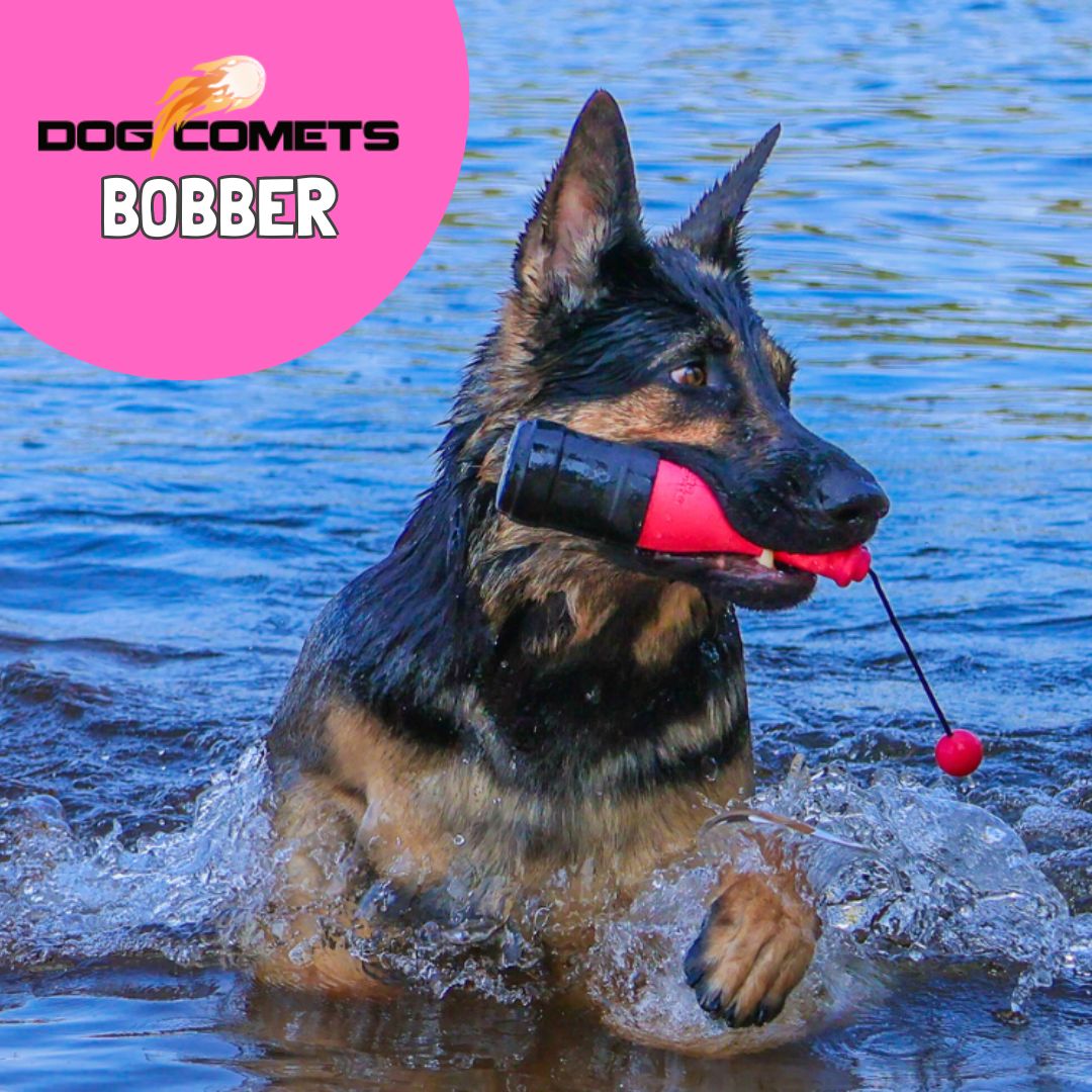 Dog Comets Bobber koiran uimalelu