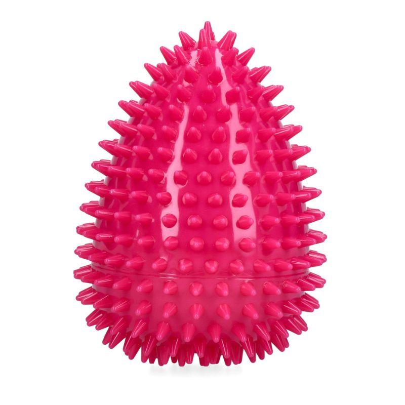Dog_Comets_Cosmic_Egg_L__pinkki