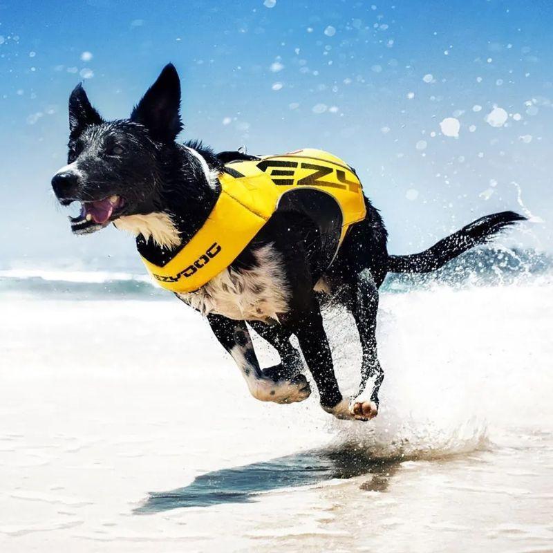 EzyDog_Boost_-pelastusliivi_koiralle