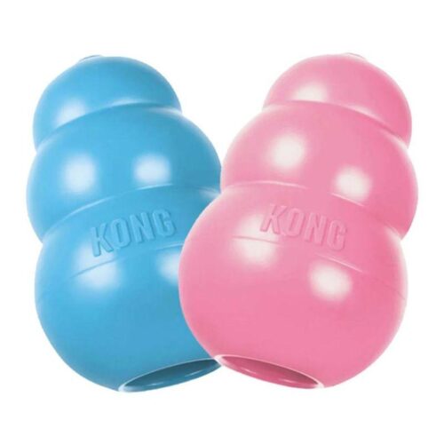 Kong_puppy__L