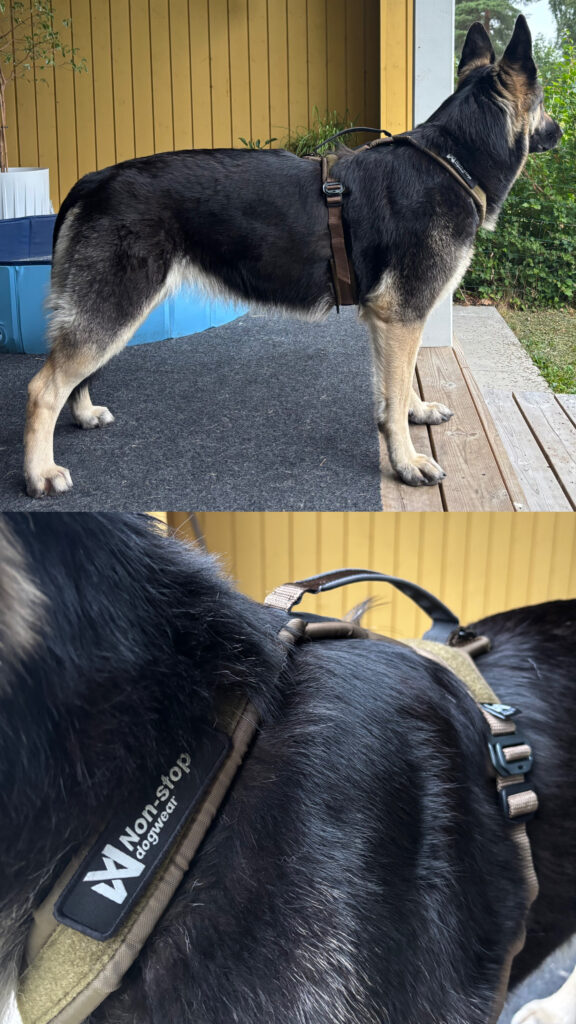 Image #1 from Nimetön