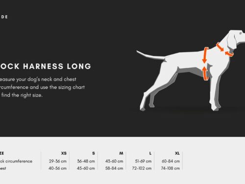 Kokotaulukko_long_harness
