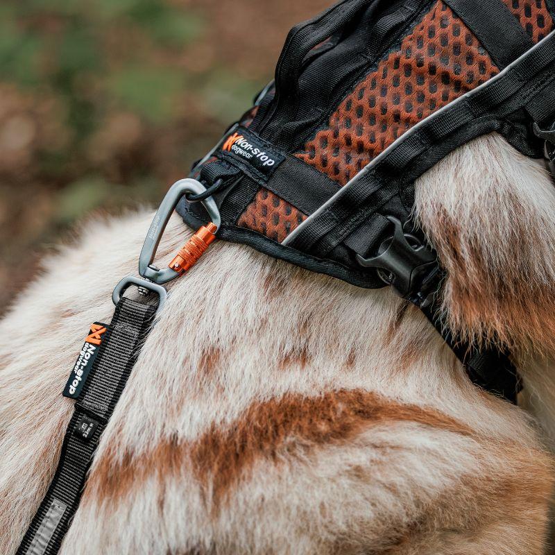 NS130090_Rock_Harness_Long_koiran_valjaat_4_jpg