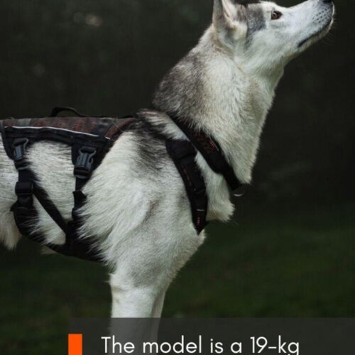 NS130090_Rock_Harness_Long_koiran_valjaat_9_jpg