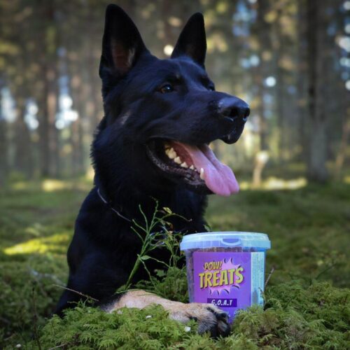 317182_POW_Treats_G_O_A_T_koiran_viljaton_makupala_400_g_1_jpg