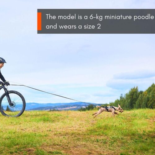 1100_Freemotion_Harness_saadettava_vetovaljas_3_jpg