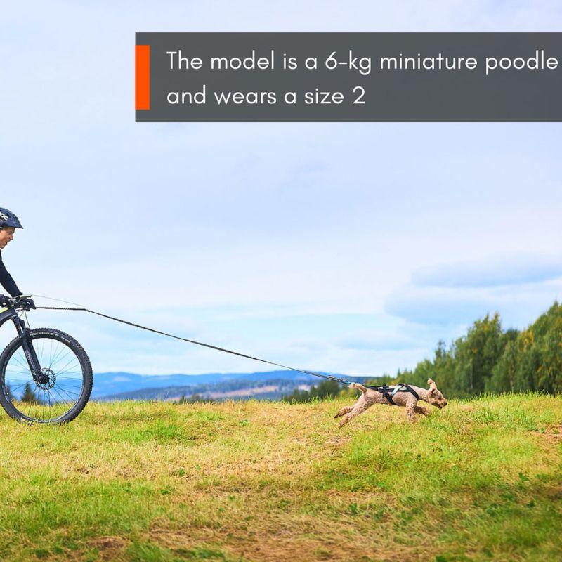 1100_Freemotion_Harness_saadettava_vetovaljas_3_jpg