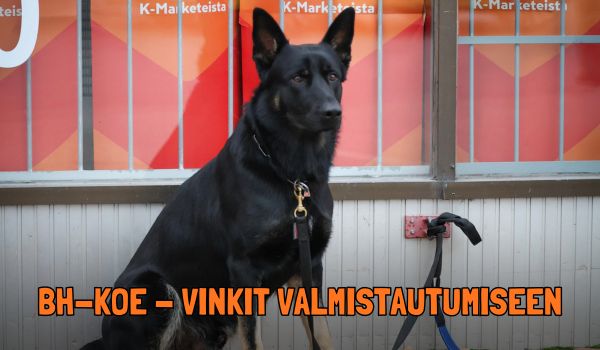 Vinkkejä valmistatumiseen BH-koe