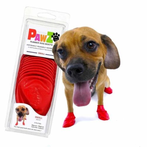 PawZ_koiran_suojatossut_12_kpl